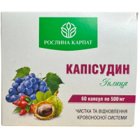 Капісудин Іглиця Рослина Карпат відновлення кровоносної системи 60 капс. по 500 мг