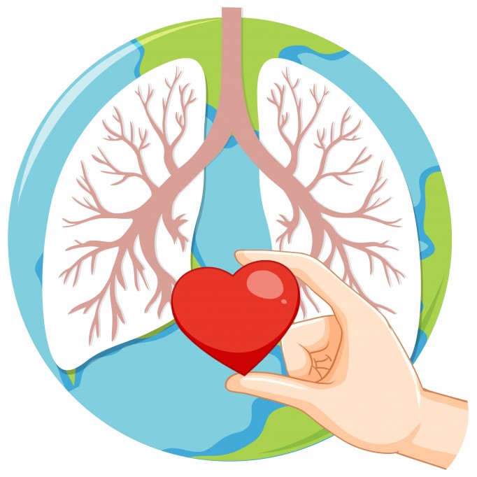 Дыши полной грудью: как поддерживать легкие и укреплять иммунитет