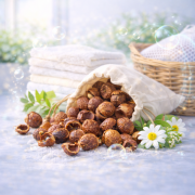 Мыльные орехи