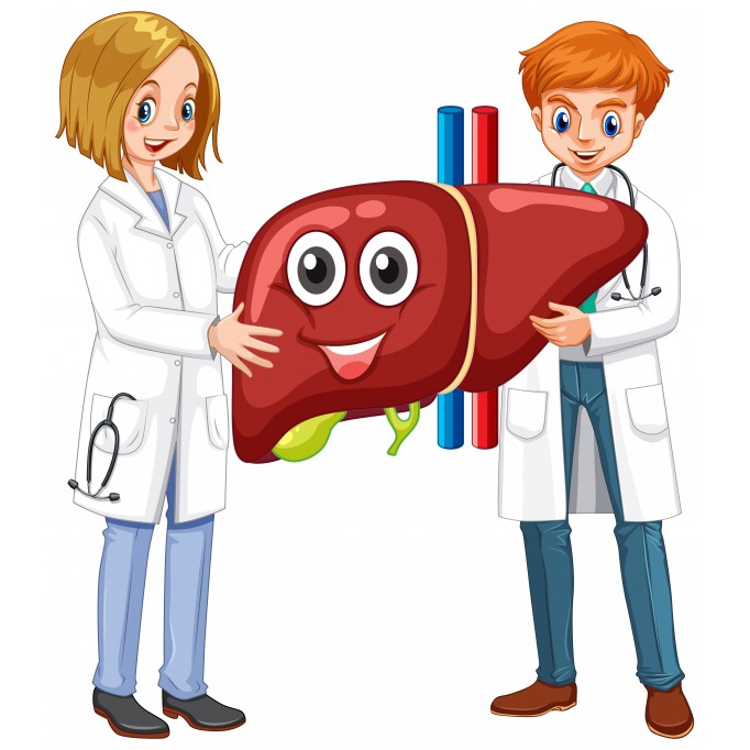 Печень не железная: сигналы, что пора обратить на неё внимание