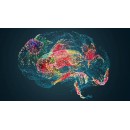 Покращення функцій мозку