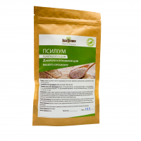 Псиллиум Здорово 100 г