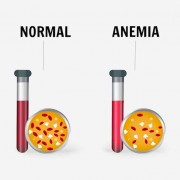 Профілактика анемії
