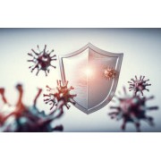 Зміцнення імунітету, захист від вірусів